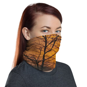 Cypress Sun - Neck Gaiter